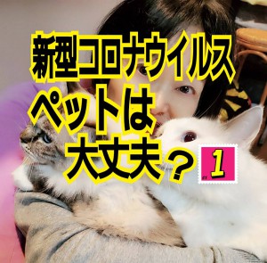 alt=‘‘新型コロナウイルス,ペット感染,犬猫,大丈夫？‘‘