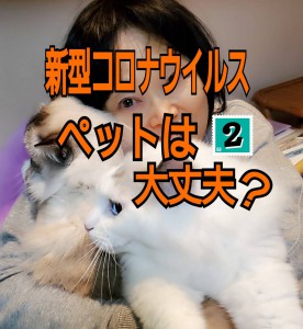 alt=‘‘新型コロナウイルス,ペット感染,犬猫,大丈夫？‘‘