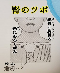 alt=‘‘腎のツボ,つぼ,冷えのツボ,兪府,ゆふ‘‘